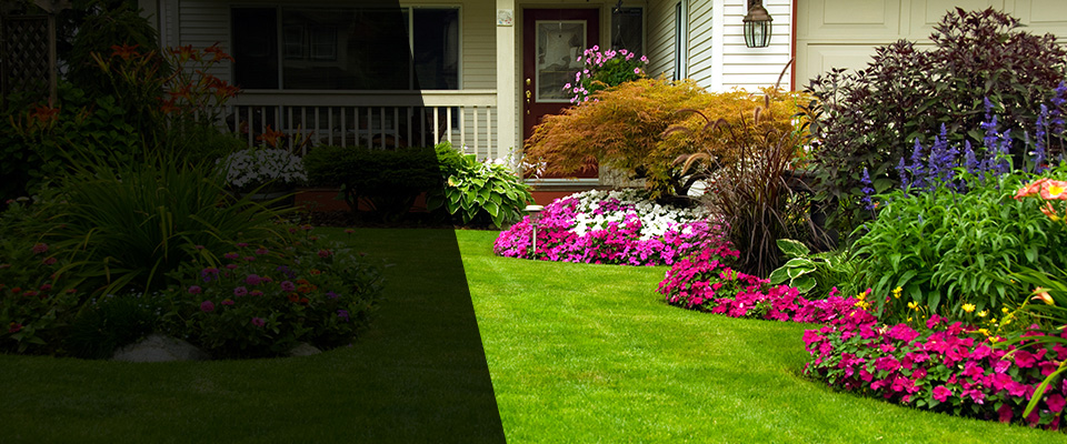 Oxford Landscapers